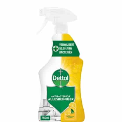 Dettol Spray - Power & Fresh Lemon 750 ml. - 5410036311769